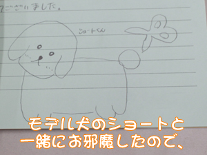中学校へ模擬授業に行ってきました！